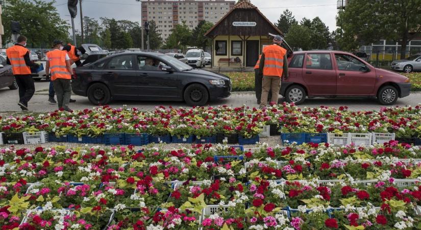 Virágos Székesfehérvár: már jönnek az időpontfoglaló levelek!