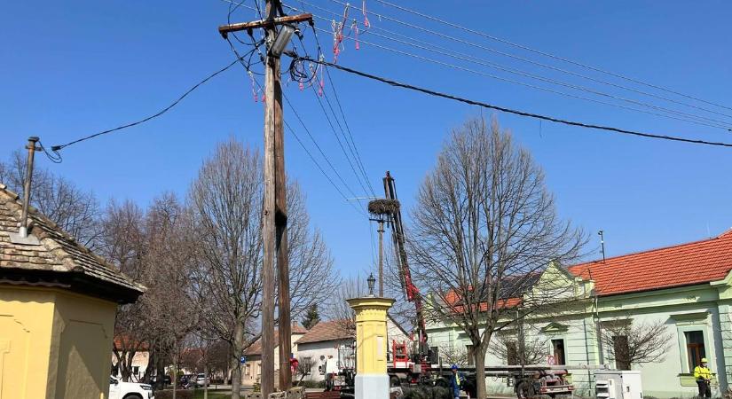 Nemcsak az áramellátás volt veszélyben, a gólyák fészkét is meg kellett menteni, lépett a település