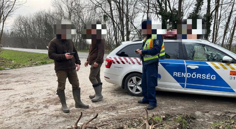 Csapdába csalták az agancstolvajokat Lábodon: Öt perc alatt kint volt a rendőrség