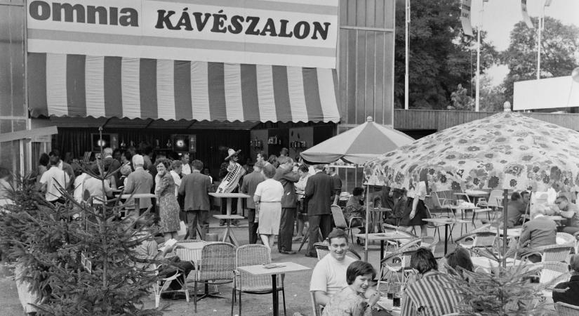 Retró fotókon hazánk kávéházai: a sütemény, a pletyka és a nyüzsgés örök!