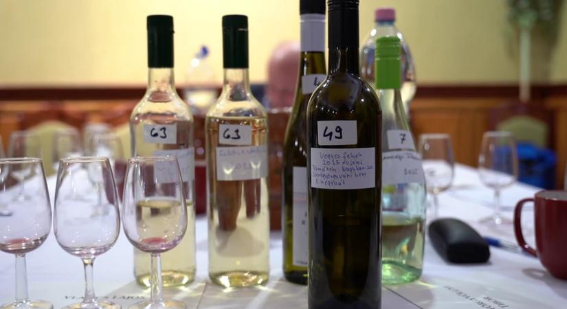 Kimagasló mintaszám – kiváló borok Miklósfán