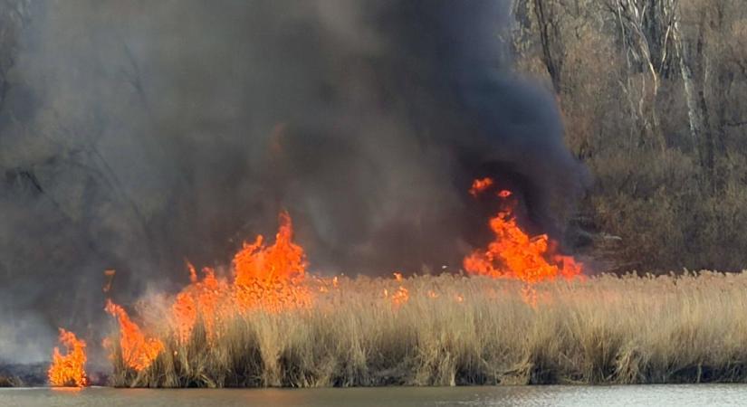 Tombolt a tűz a Tisza-tónál – videóval