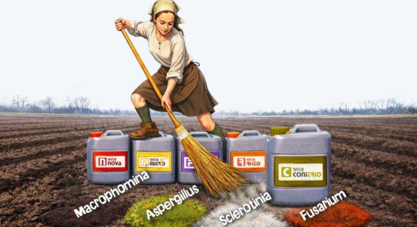 Tavaszi nagytakarítás a talajban