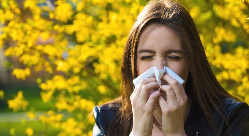 Ettől eldobod a zsepid! Szájról szájra terjednek ezek az allergia elleni tippek, itt az életmentő lista