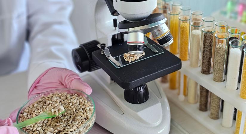 Komoly tanácskozás lesz Budapesten: 15 ország jön, ez áttörést hozhat