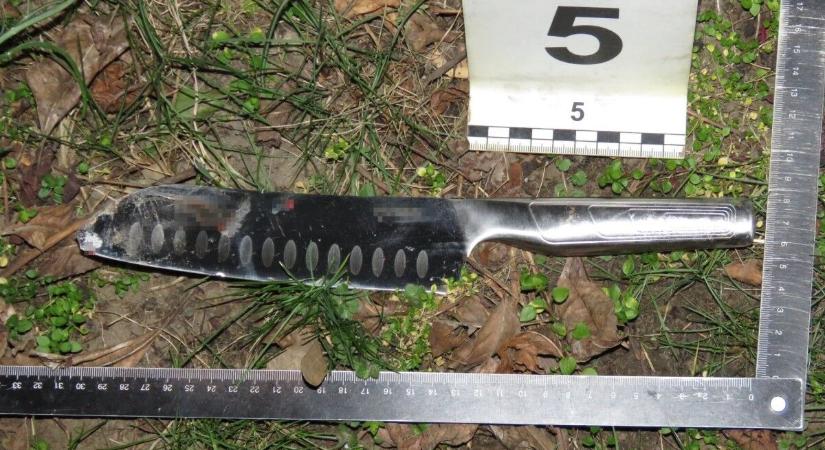 Rendőrök fegyvereztek le egy megvadult férfit, aki késsel támadt két nőre Nyíregyházán