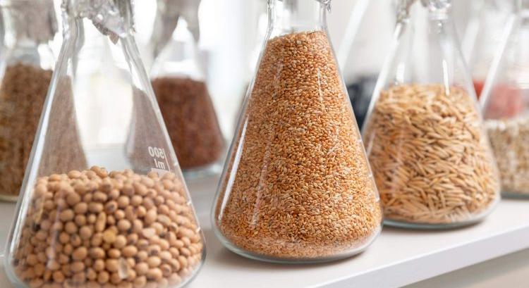 Budapestre figyel a vetőmagszakma: 15 országból jönnek