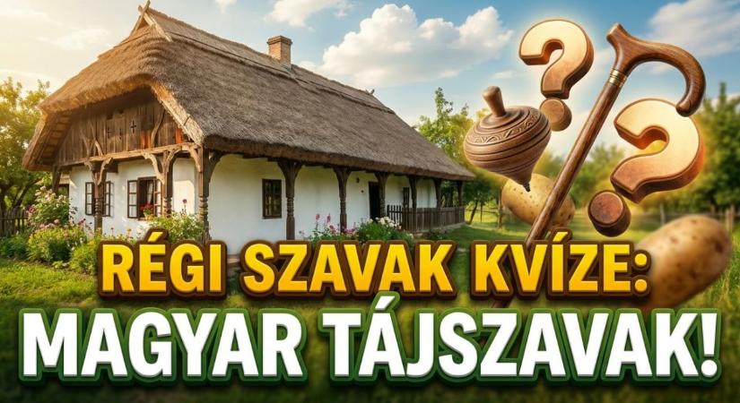 Régi szavak kvíze: Tíz elfeledett magyar tájszó amely garantáltan megizzaszt