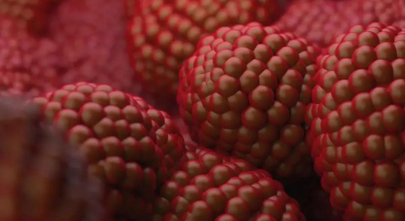 Rájöhettek, miért van egyre több prosztatarákos