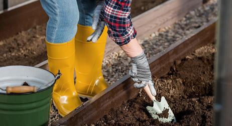 Így élesszük újra a kertet: szakértő tanácsai a tavaszi induláshoz