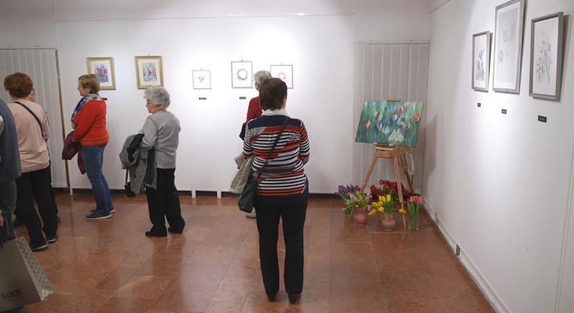 Egészségnap, kiállításmegnyitó és koncert a fesztivál első napján