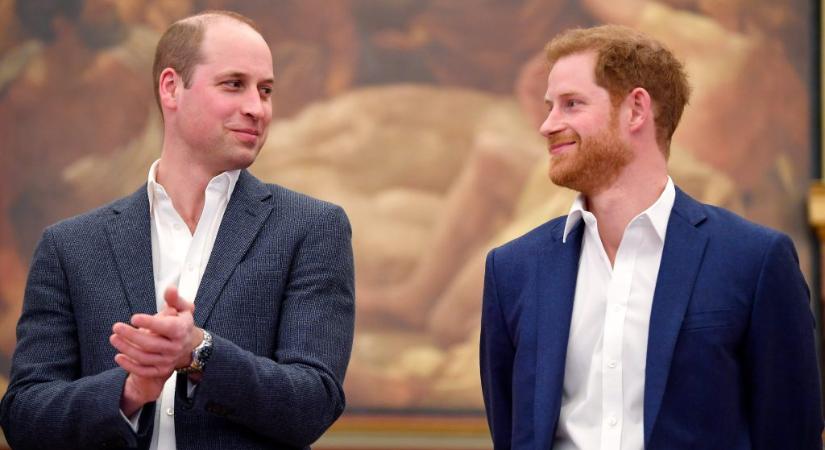 Kvíz: Mennyit tudsz Vilmos hercegről és Harry hercegről?