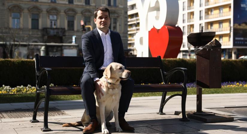 Ebösszeírás Győrben - Március 15-én lejár a határidő