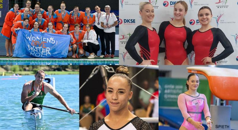 A dunaújvárosi jelöltek várják a szavazatokat