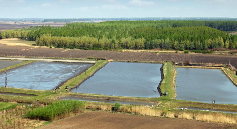 Több száz hektár halastónál jön nagy változás itthon: mutatjuk, mi készül