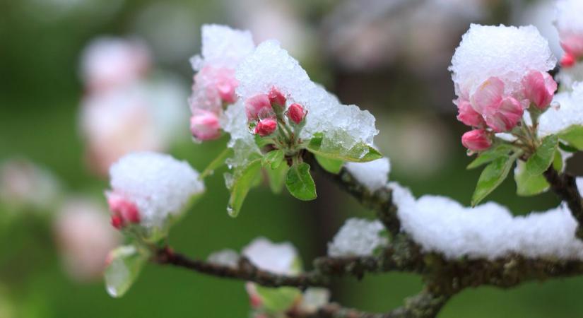 Fagy, aszály, vihar: egy rossz szezon elég lehet – készülj fel időben