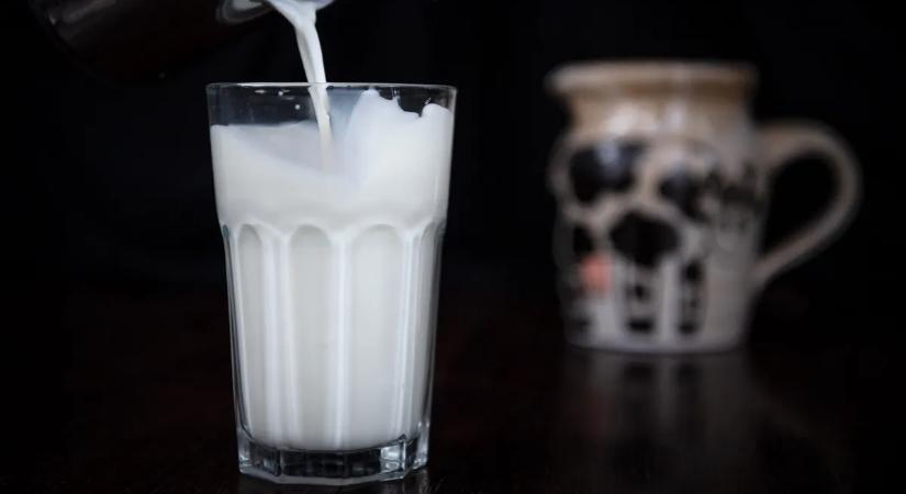 A magyar tej megmentéséért ezt követelik a termelők - felhívást intéztek a boltokhoz