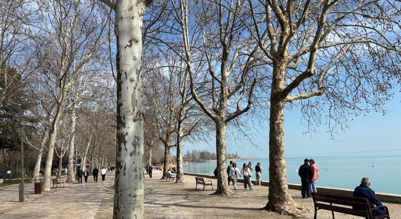 Szinte berobban a tavasz a vármegyében