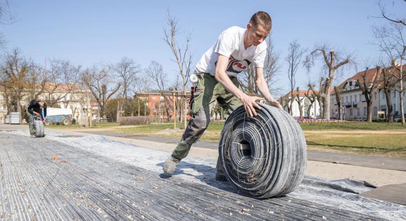 Lebontották a Kori-ligetet: szinte már nyoma sincs (galéria)