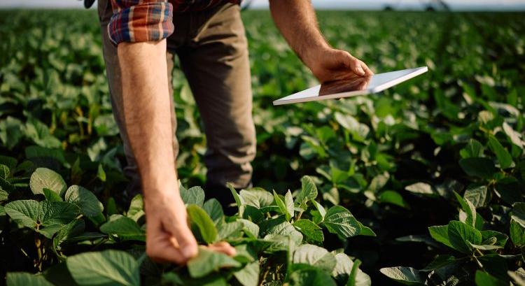 Műholdak segíthetik a gazdákat a földeken