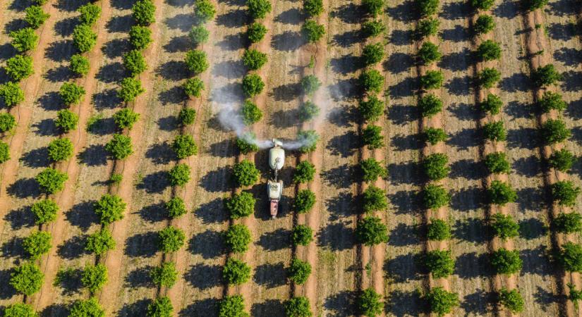 Rendkívüli a helyzet: itt már azonnali segítséget kérnek a gazdák