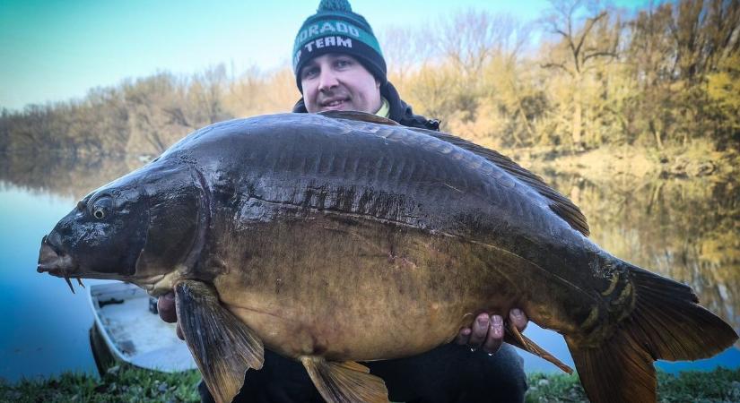 Különleges tükörponty akadt horogra a Solti Kis-Dunán, nevet is kapott a kapitális állat – fotó