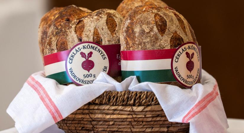 Rekord nevezésszám a XV. Szent István-napi Kenyérverseny első fordulóján