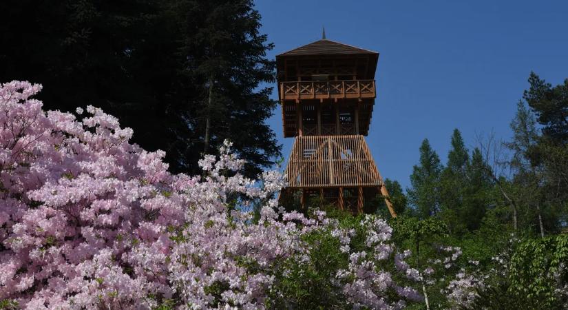 Hazai bakancslista 2026-ra fillérekből: hat különleges úti cél az idei esztendőre