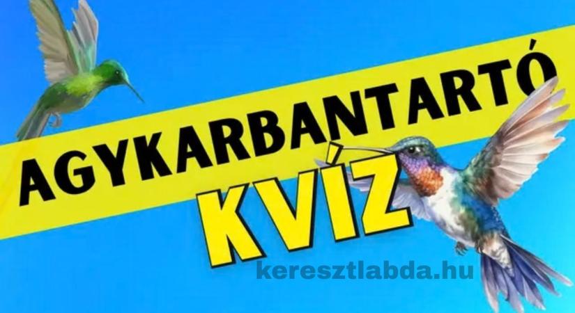 Agykarbantartó kihívás a javából: Képes vagy felidézni, hányadik volt ez a kolibri?