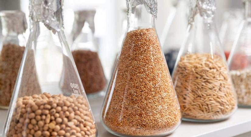 Nagy a tét –15 ország szakemberei jönnek Magyarországra