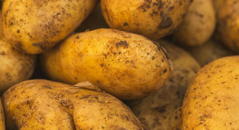 Nagyobb a baj, mint gondolnánk: az egész termelés áldozatul eshet a krízisnek