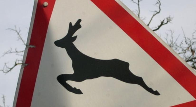 Vadgázolás Szentpéterszegnél