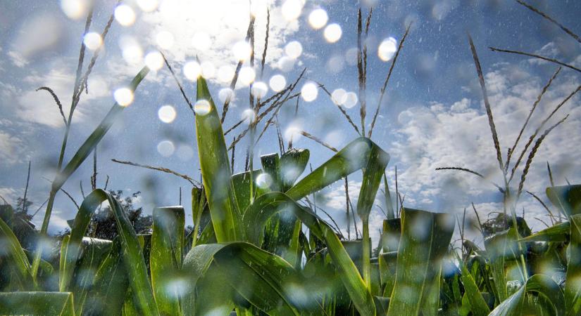 NAK: idén sem kell mezőgazdasági vízszolgáltatási díjat fizetni