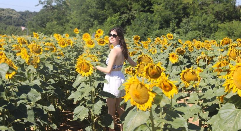 Szeszélyes lesz az időjárás – ez vár ránk a héten