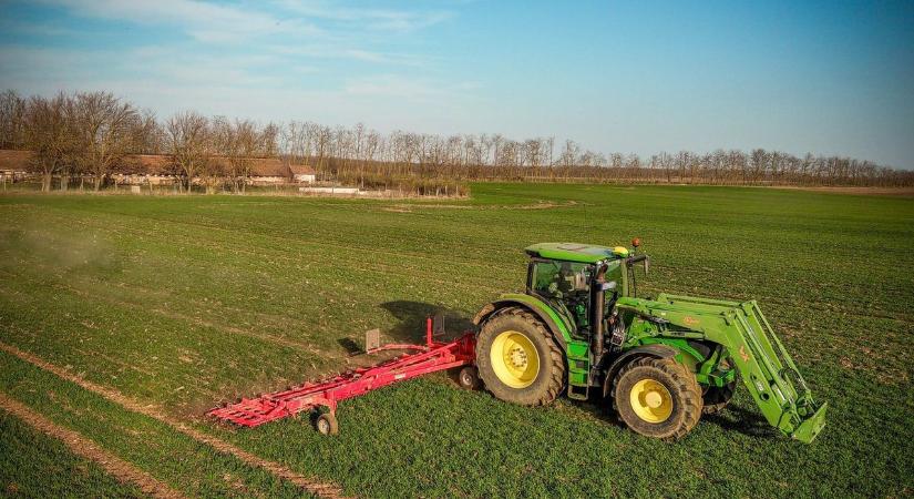 Kedden melegebb lesz, mint hétfőn volt, marad a sok napsütés és a tavasz