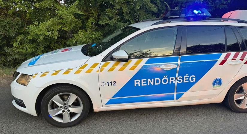 Baleset Hajdú-Biharban, vadat gázolt egy autó!