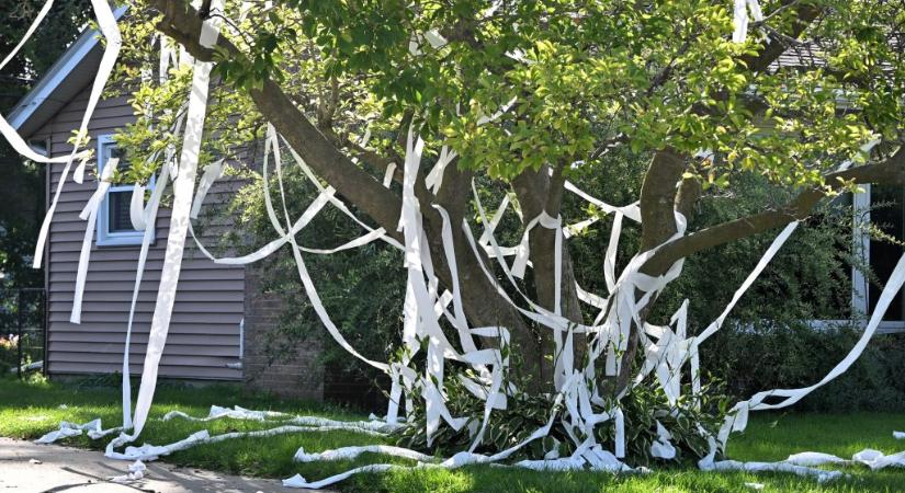 Egyszerű diákcsínynek indult, halálos gázolás lett a vége