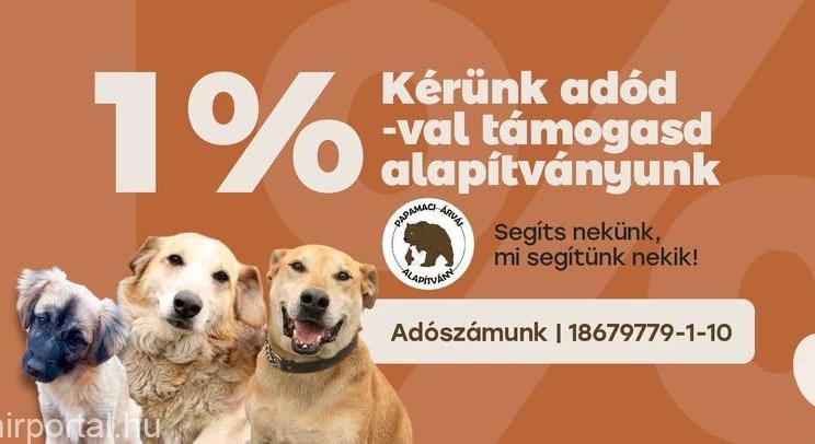 Aki teheti, támogassa adója 1%-ával Papamaci árváit!