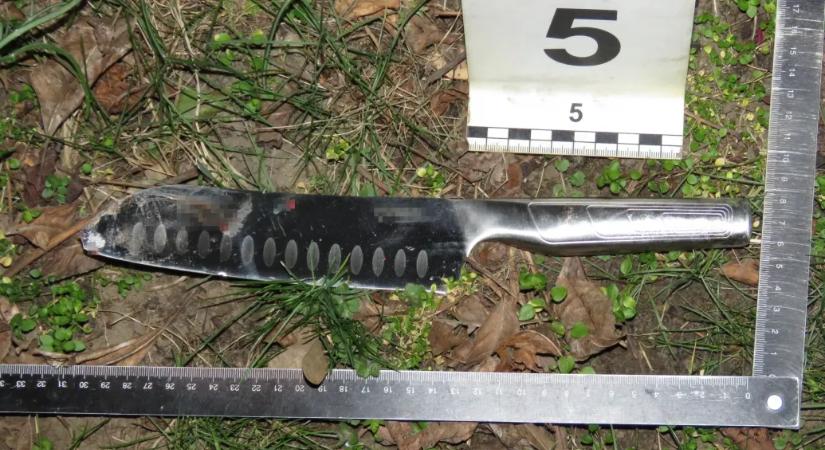 Két nőt is összeszurkált a tomboló nyíregyházi férfi