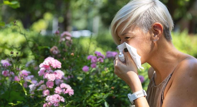 Márciusi allergiaszezon: ezek a növények durrantják be az allergiát!