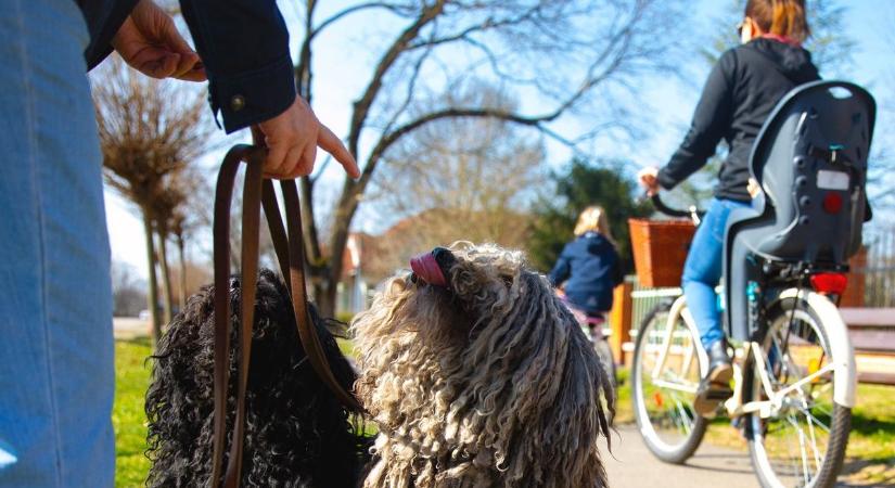 Megfejtettük a Debrecentől pár kilométerre lévő „ékszerdoboz” titkát – nem csoda, miért akar mindenki ide jönni! – fotókkal, videóval