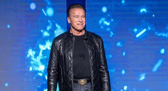 78 évesen is akcióban, Schwarzenegger 3 legendás filmjét is folytathatják