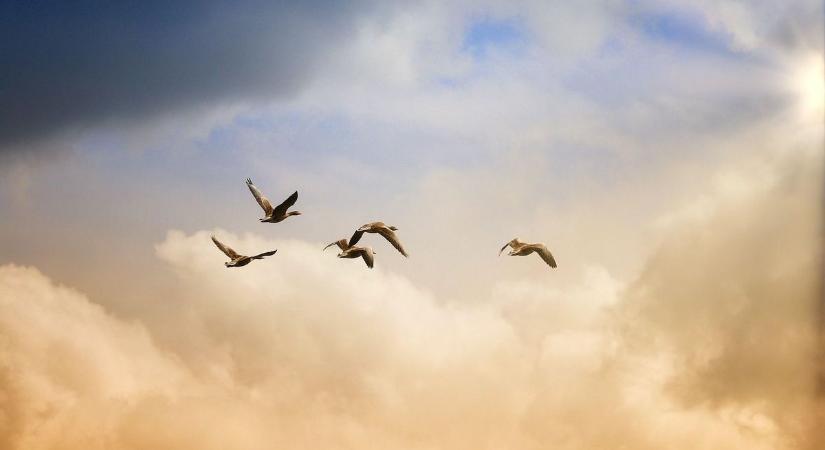 Van-e szabadulás az emlékezeti traumák fogságából? – Margittai Gábor könyvéről