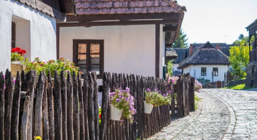 Nem zörög a haraszt, ha… – mennyire vagy profi magyar közmondásokban?