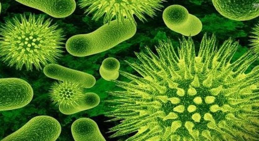 Még Brüsszelben is erről beszélnek: égető kérdésben fogtak össze a magyarok és a románok