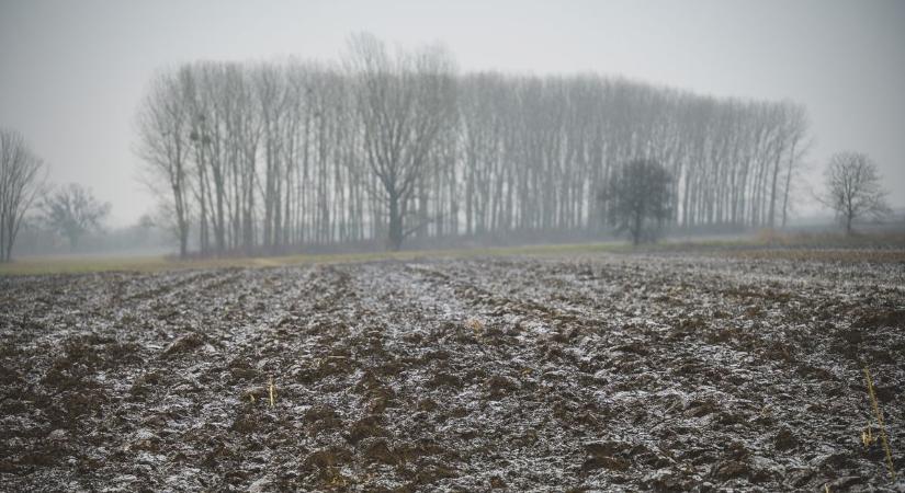 Az idei tél csupa jót, a kora tavasz azonban már kockázatokat is hozott a baranyai gazdáknak
