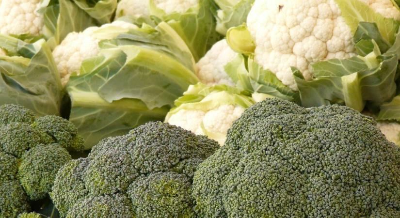Három hét üresjárat jön: március közepén kifogyhat a spanyol brokkoli és karfiol