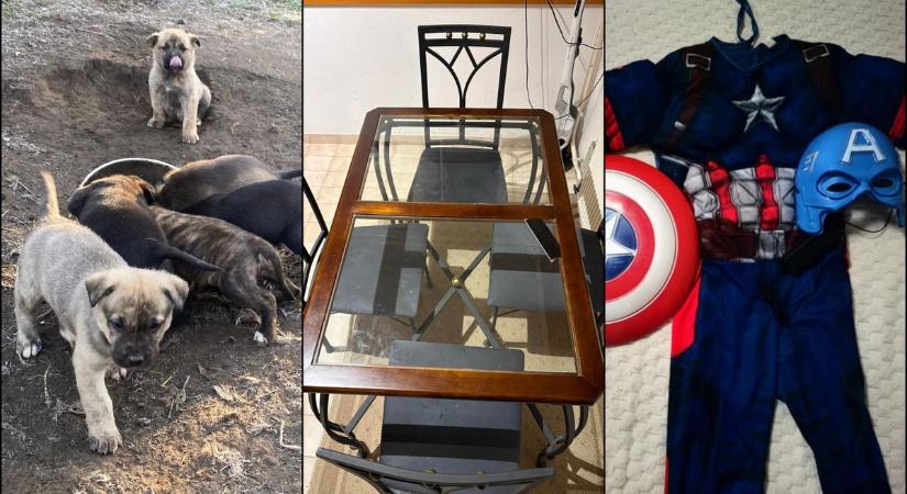 Ezekért egy fillért sem kérnek?! Mutatjuk a legtutibb ingyen elvihető cuccokat Szabolcsban (fotók)