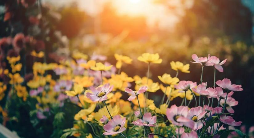 Berobban a tavasz: akár 19 fok is lehet