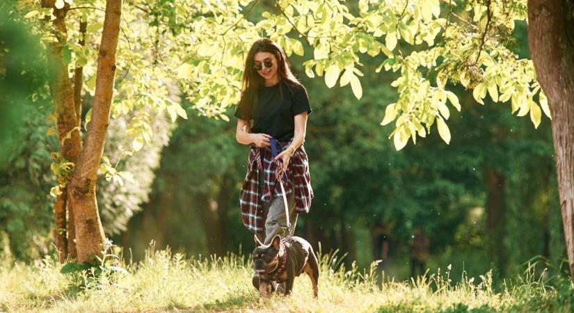 Felhők szűrik a napot – mégis meglepően enyhe lesz a nap